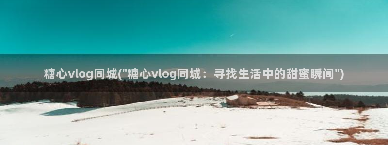 糖心vlog系列28
