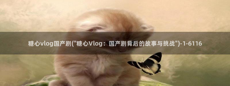 糖心vlog进不去了