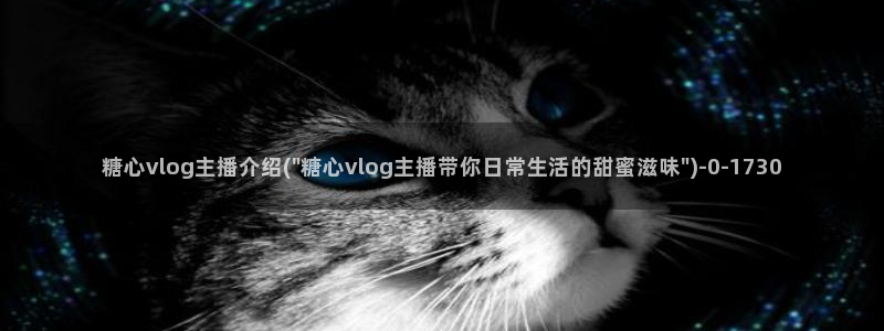 糖心vlog缓存在哪