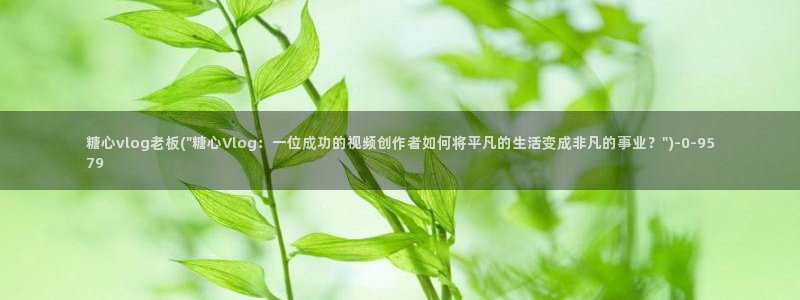 糖心vlog柚子猫欧美