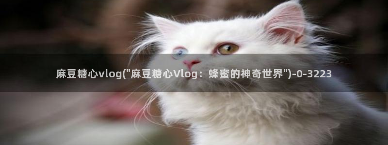 糖心vlog破解版下载链接：麻豆糖心vlog(\