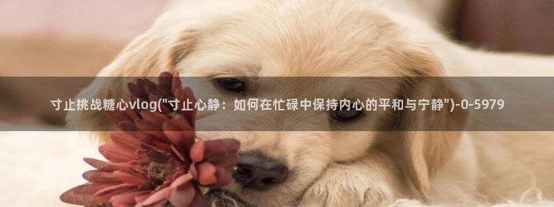 糖心vlog官网入口ios