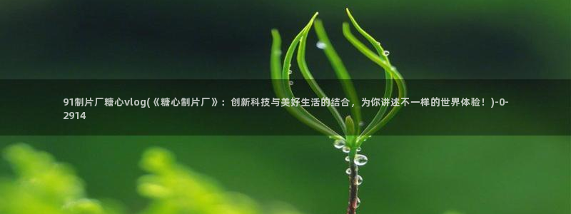 糖心vlog入口官网