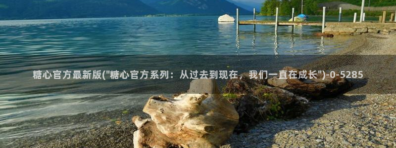 糖心vlog视频在线播放
