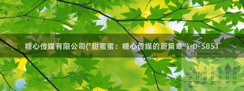糖心vlog官网免费下载