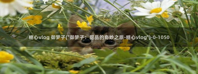 老师的计谋糖心vlog