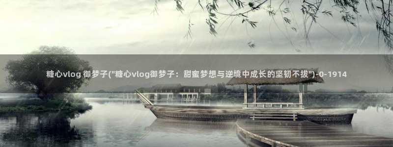 糖心vlog传媒
