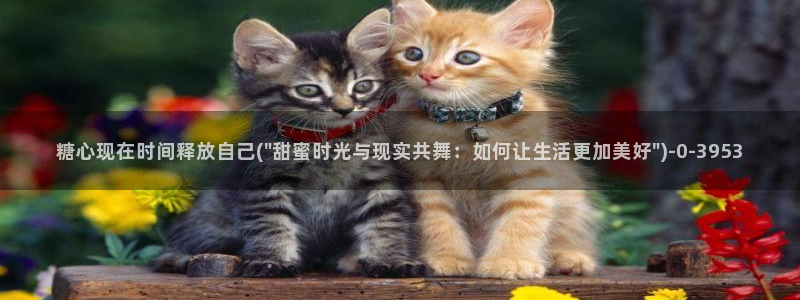 糖心vlog谁最好看