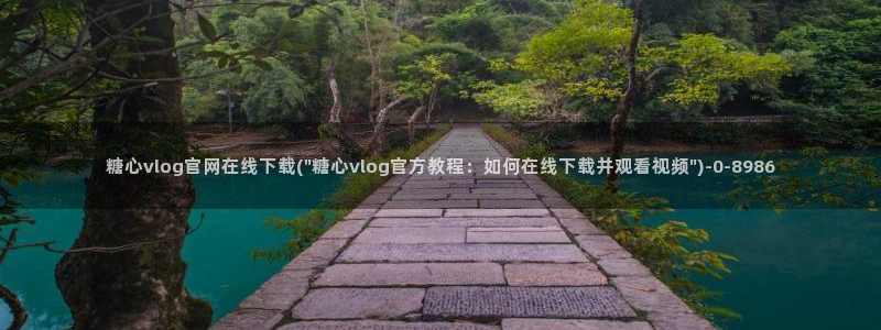心糖vlog免费在线观看