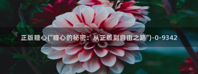 糖心vlog日常生活