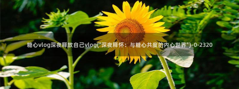 糖心vlog不良女孩
