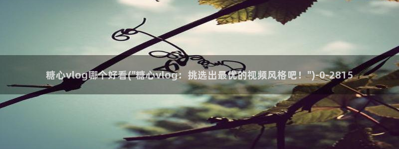 糖vlog日常