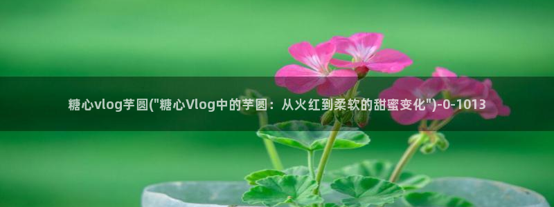 糖心vlog邀请码