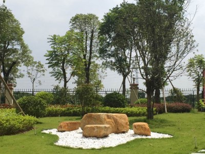 城市漫游VLOG文章介绍